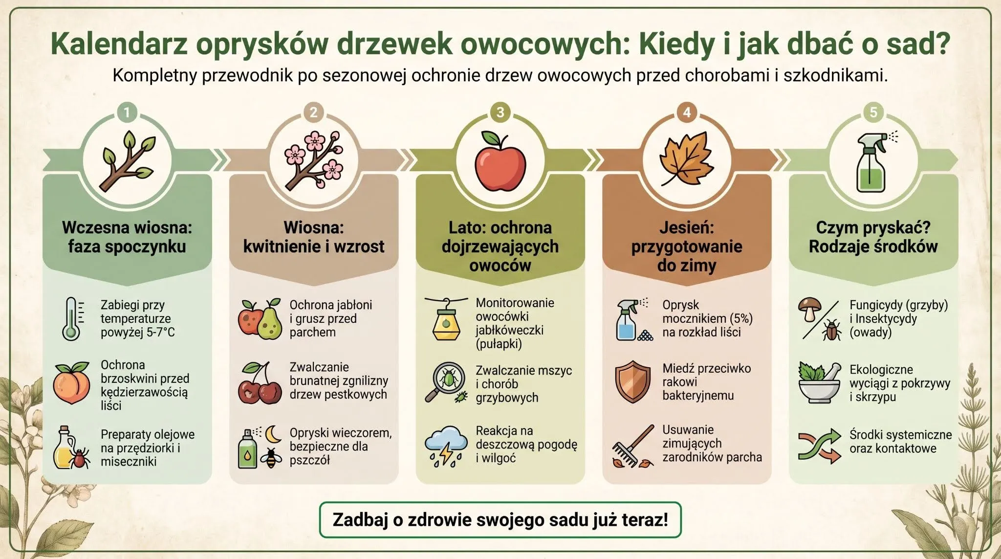 Kalendarz oprysków drzewek owocowych - kiedy i jak dbać o sad?