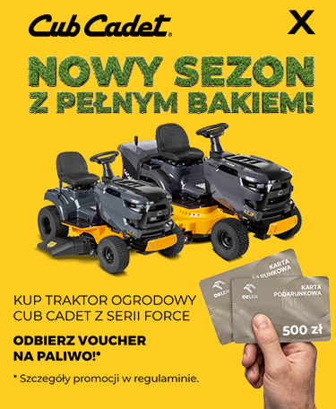 Promocja