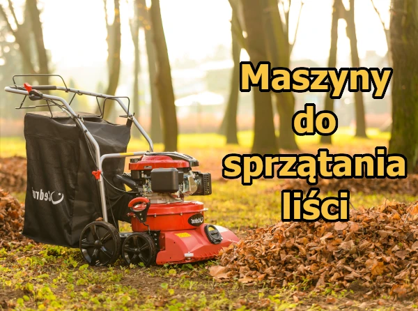 Jesień