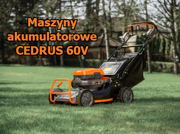 Cedrus 60V