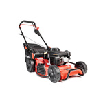 Kosiarka Cedrus Premium z napędem CEDLP53S-L + olej