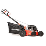 Kosiarka Cedrus Premium z napędem CEDLP53S-H + olej