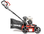 Wertykulator spalinowy CEDRUS WR01-H Honda 2w1 + olej + dostawa gratis!