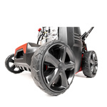 Wertykulator spalinowy CEDRUS WR01-B  Briggs&Stratton 2w1 + olej + dostawa gratis!