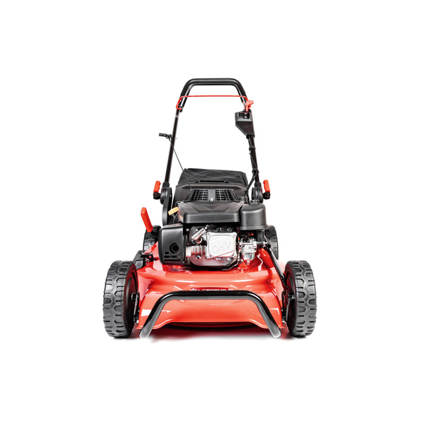 Kosiarka Cedrus Premium z napędem CEDLP53S-L + olej