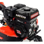 Glebogryzarka spalinowa Hortmasz HGS LX750 + olej + dostawa gratis!