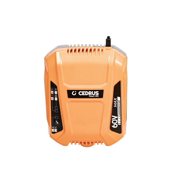 Ładowarka baterii akumulatorów plecakowych Cedrus 60V 4-8A