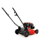 Kosiarka spalinowa z koszem CEDRUS CEDKS42 + olej + dostawa gratis!