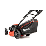 Kosiarka spalinowa z koszem Cedrus CEDKS51S-ZT + olej + dostawa gratis!