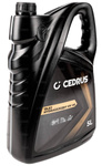 Olej hydrauliczny HV46 Cedrus 5L do łuparek