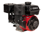 Silnik WM170-2/P CEDRUS glebogryzarka GL09 GLX540