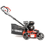 Wertykulator spalinowy CEDRUS WR01 2w1 + olej + dostawa gratis!