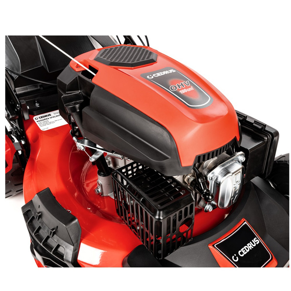 Kosiarka spalinowa CEDRUS CEDKS53S + olej + dostawa gratis!