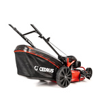Kosiarka spalinowa z koszem CEDRUS CEDKS56S-H + olej + dostawa gratis! Silnik Honda!