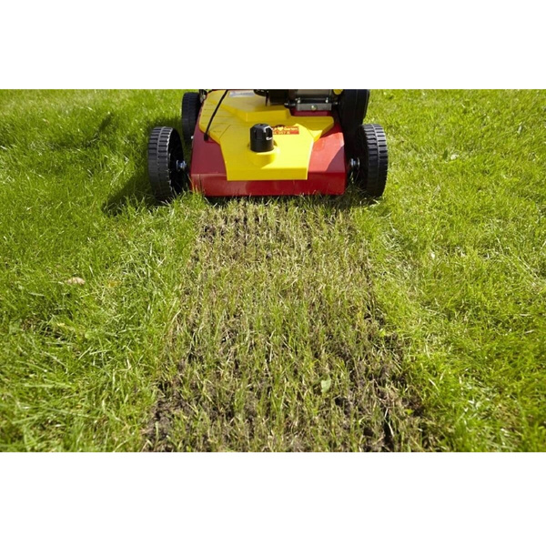 Wertykulator spalinowy Wolf Garten VA 389 B + olej + dostawa gratis!