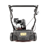 Wertykulator spalinowy CEDRUS WR01-B  Briggs&Stratton 2w1 + olej + dostawa gratis!