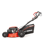 Kosiarka spalinowa CEDRUS CEDKS53S + olej + dostawa gratis!