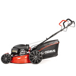 Kosiarka spalinowa Cedrus KS51S-H + olej + dostawa gratis! HONDA GCV200
