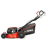 Kosiarka spalinowa z koszem CEDRUS KS48S + olej + dostawa gratis!