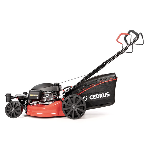 Kosiarka spalinowa z koszem Cedrus CEDKS51S-H-ZT z silnikiem Honda + olej + dostawa gratis!