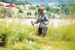 Kosa spalinowa STIHL FS 240