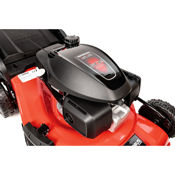 Kosiarka Cedrus Premium z napędem CEDLP53S-H + olej