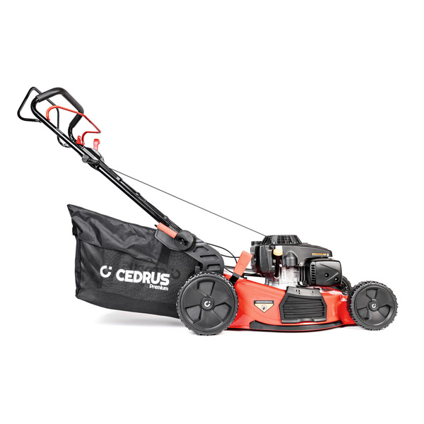 Kosiarka Cedrus Premium z napędem CEDLP53S-L + olej