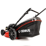 Kosiarka spalinowa Cedrus KS51S-H + olej + dostawa gratis! HONDA GCV200