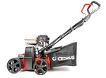Wertykulator spalinowy CEDRUS WR01-H Honda 2w1 + olej + dostawa gratis!