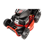 Kosiarka spalinowa Cedrus KS51S-H + olej + dostawa gratis! HONDA GCV200