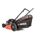 Kosiarka spalinowa z koszem CEDRUS CEDKS56S-H + olej + dostawa gratis! Silnik Honda!
