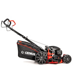 Kosiarka spalinowa Cedrus KS51S-H + olej + dostawa gratis! HONDA GCV200