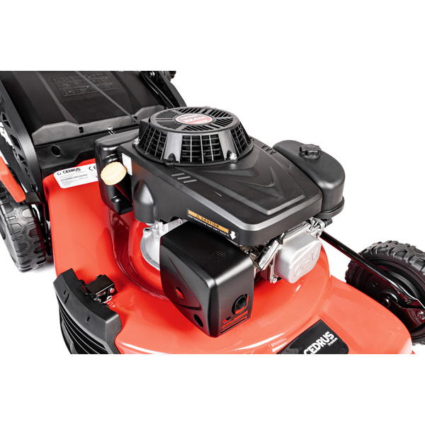 Kosiarka Cedrus Premium z napędem CEDLP53S-L + olej