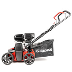 Wertykulator spalinowy CEDRUS WR01 2w1 + olej + dostawa gratis!