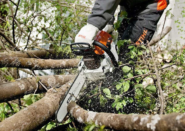 Pilarka spalinowa STIHL MS 261 325" RS Pro, 1,3 L04 40cm