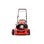 Kosiarka spalinowa z koszem CEDRUS CEDKS42S + olej + dostawa gratis!