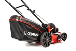 Kosiarka spalinowa z koszem CEDRUS CEDKS56S-H + olej + dostawa gratis! Silnik Honda!