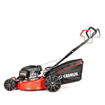 Kosiarka spalinowa z koszem CEDRUS CEDKS56S-H + olej + dostawa gratis! Silnik Honda!