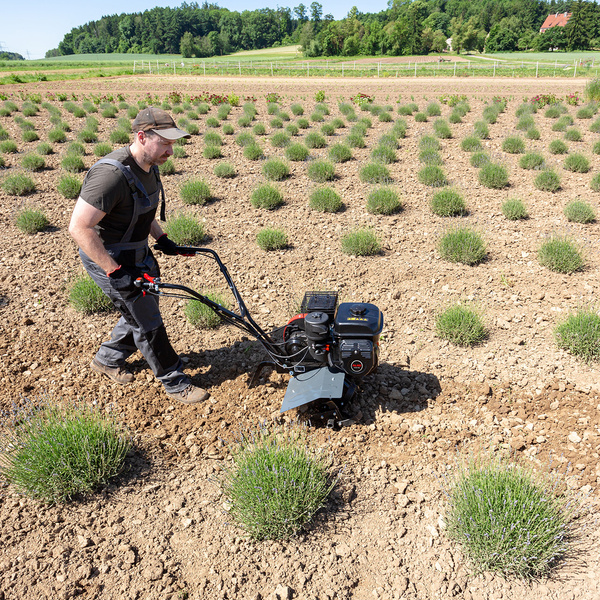 Glebogryzarka spalinowa AL-KO MH 540 Comfort
