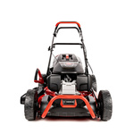 Kosiarka spalinowa Cedrus KS51S-H + olej + dostawa gratis! HONDA GCV200