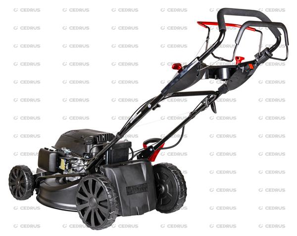 Kosiarka spalinowa z koszem CEDRUS CEDKS53S-E + olej + dostawa gratis!