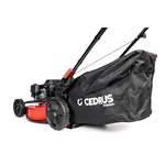 Kosiarka Cedrus Premium z napędem CEDLP53S-L + olej