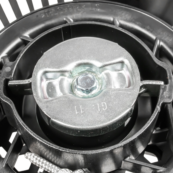 Rozrusznik kpl Cedrus wertykulator CEDWR02R (bez podstawy)