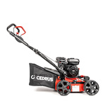 Wertykulator spalinowy CEDRUS WR01-B  Briggs&Stratton 2w1 + olej + dostawa gratis!