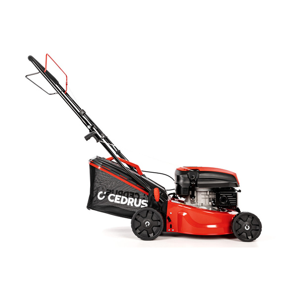 Kosiarka spalinowa z koszem CEDRUS CEDKS42S + olej + dostawa gratis!