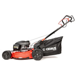 Kosiarka Cedrus Premium z napędem CEDLP53S-H + olej