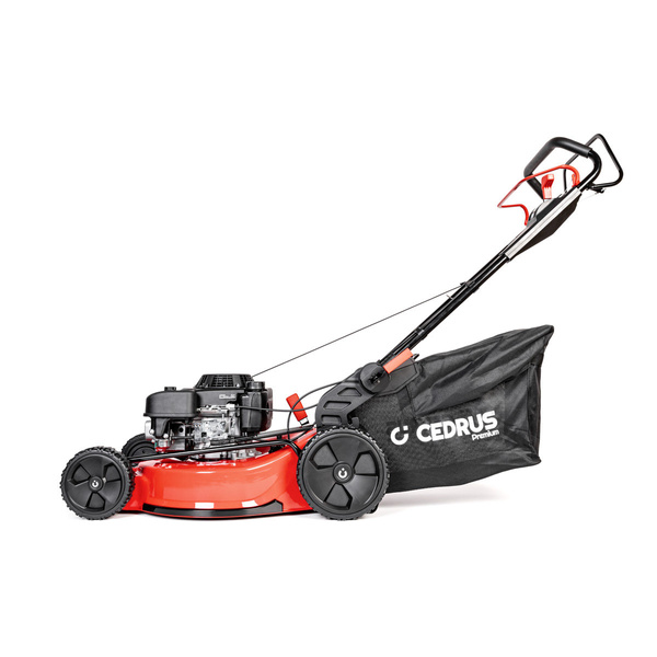 Kosiarka Cedrus Premium z napędem CEDLP53S-L + olej