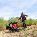 Glebogryzarka spalinowa AL-KO MH 770 Comfort