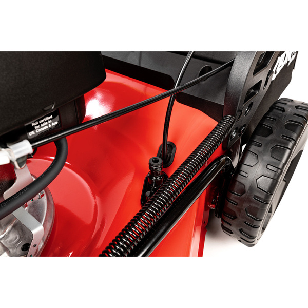 Kosiarka Cedrus Premium z napędem CEDLP53S-H + olej